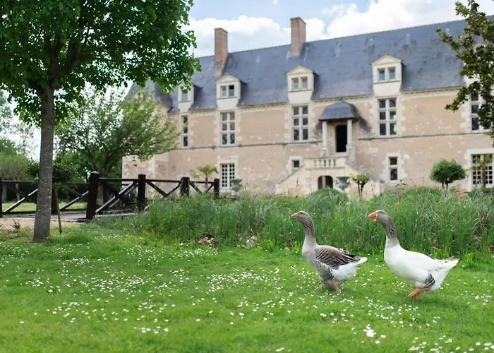 לינה וארוחת בוקר Chateau De Chappe *