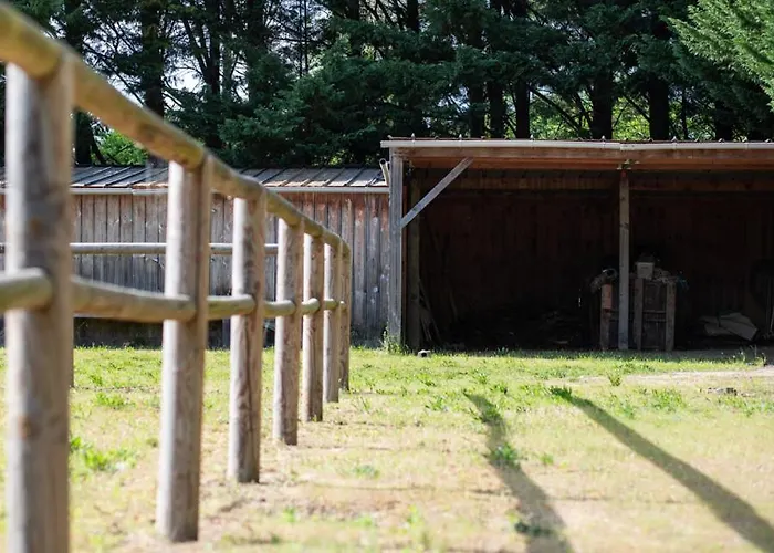 לינה וארוחת בוקר Chateau De Chappe