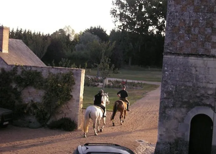 לינה וארוחת בוקר Chateau De Chappe Les Bois-d'Anjou